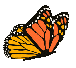 Animated Butterfly